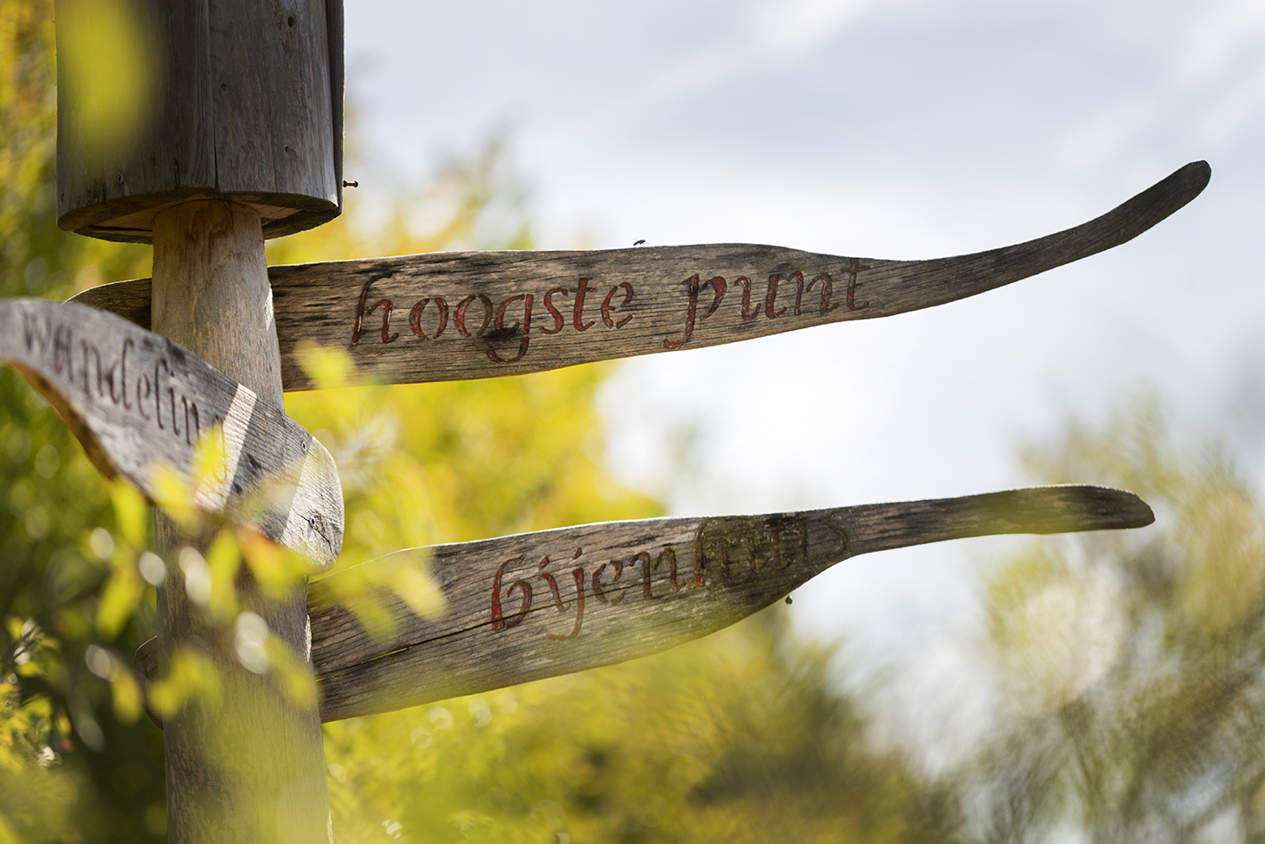 CreativeWanders©2025-5836