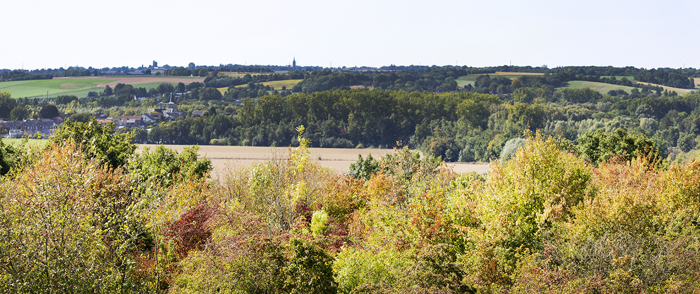 CreativeWanders©2025-5839