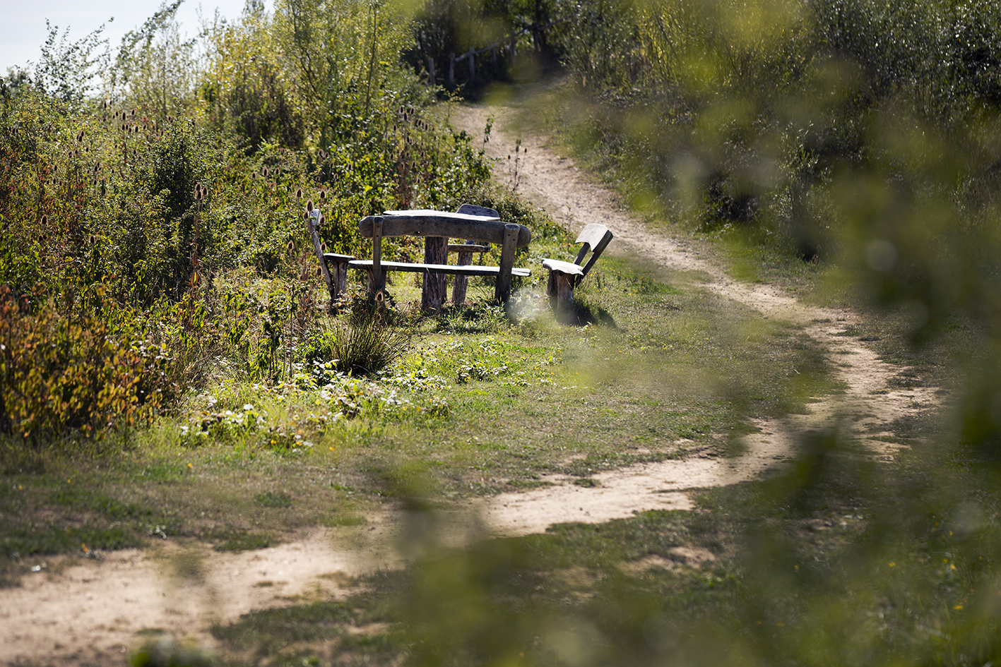 CreativeWanders©2025-5845