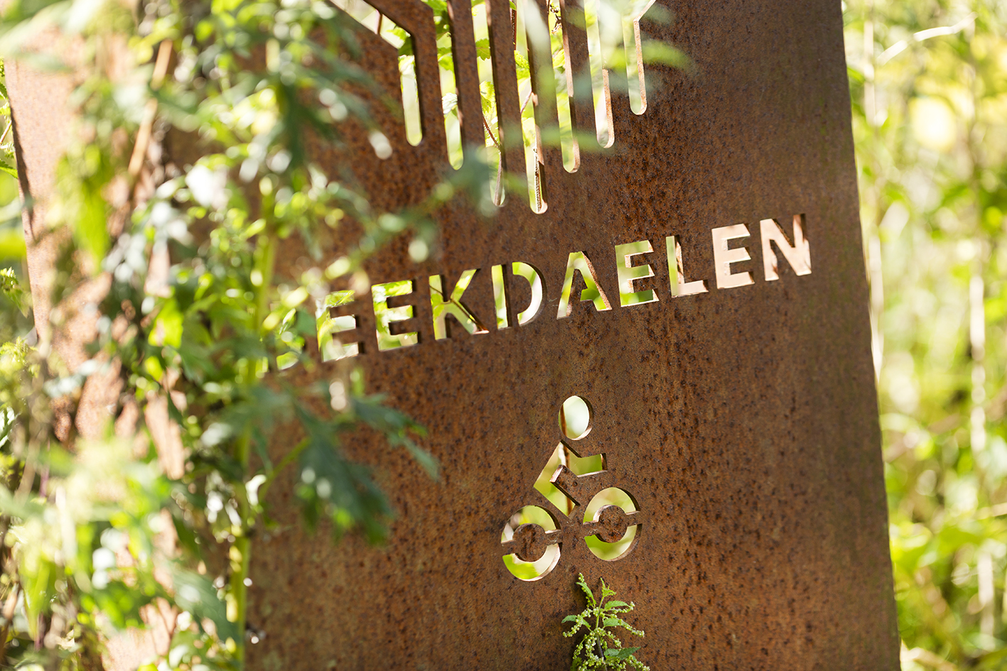 CreativeWanders©2025-5864