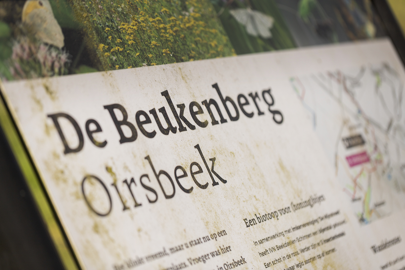 CreativeWanders©2025-5868