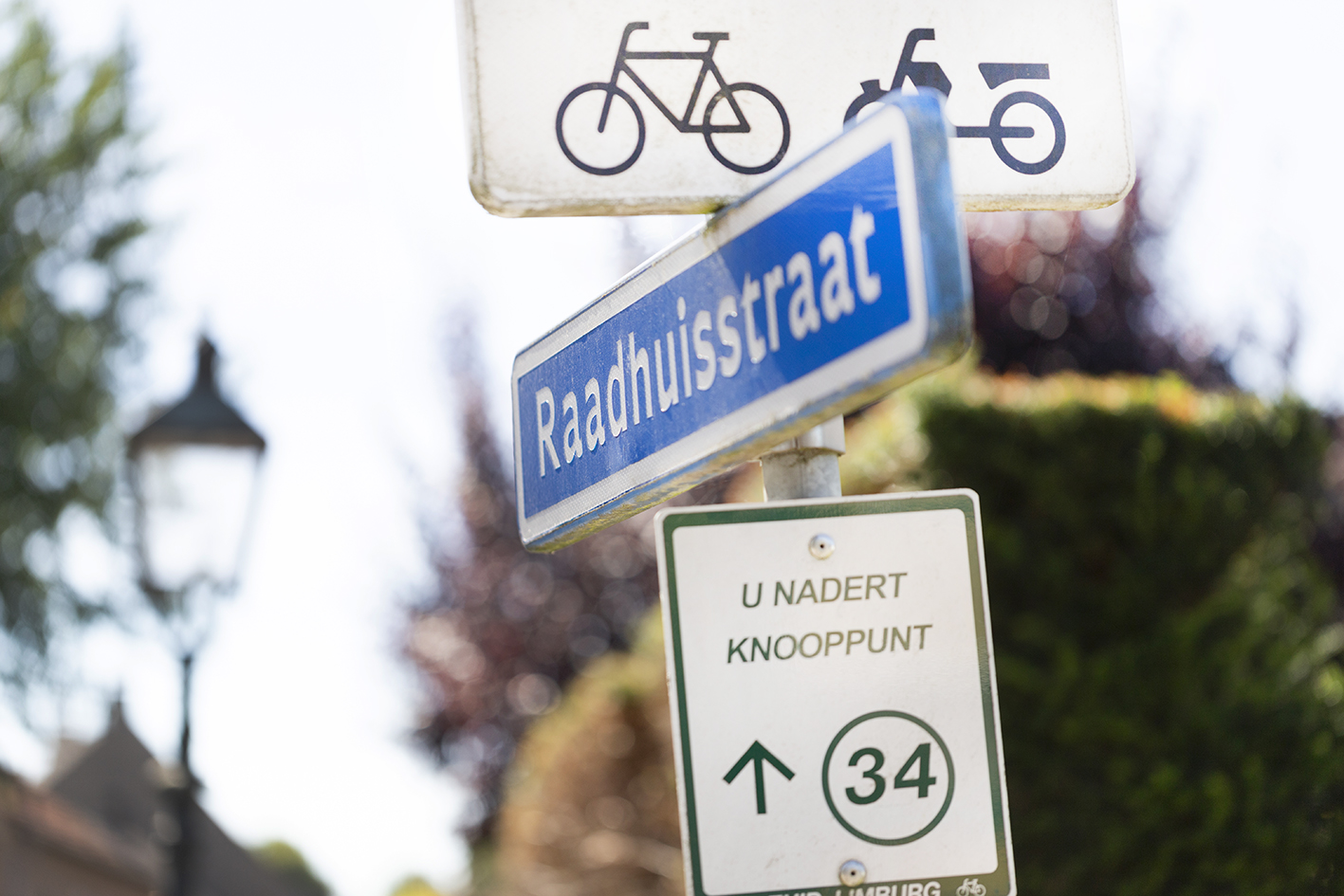 CreativeWanders©2025-5902