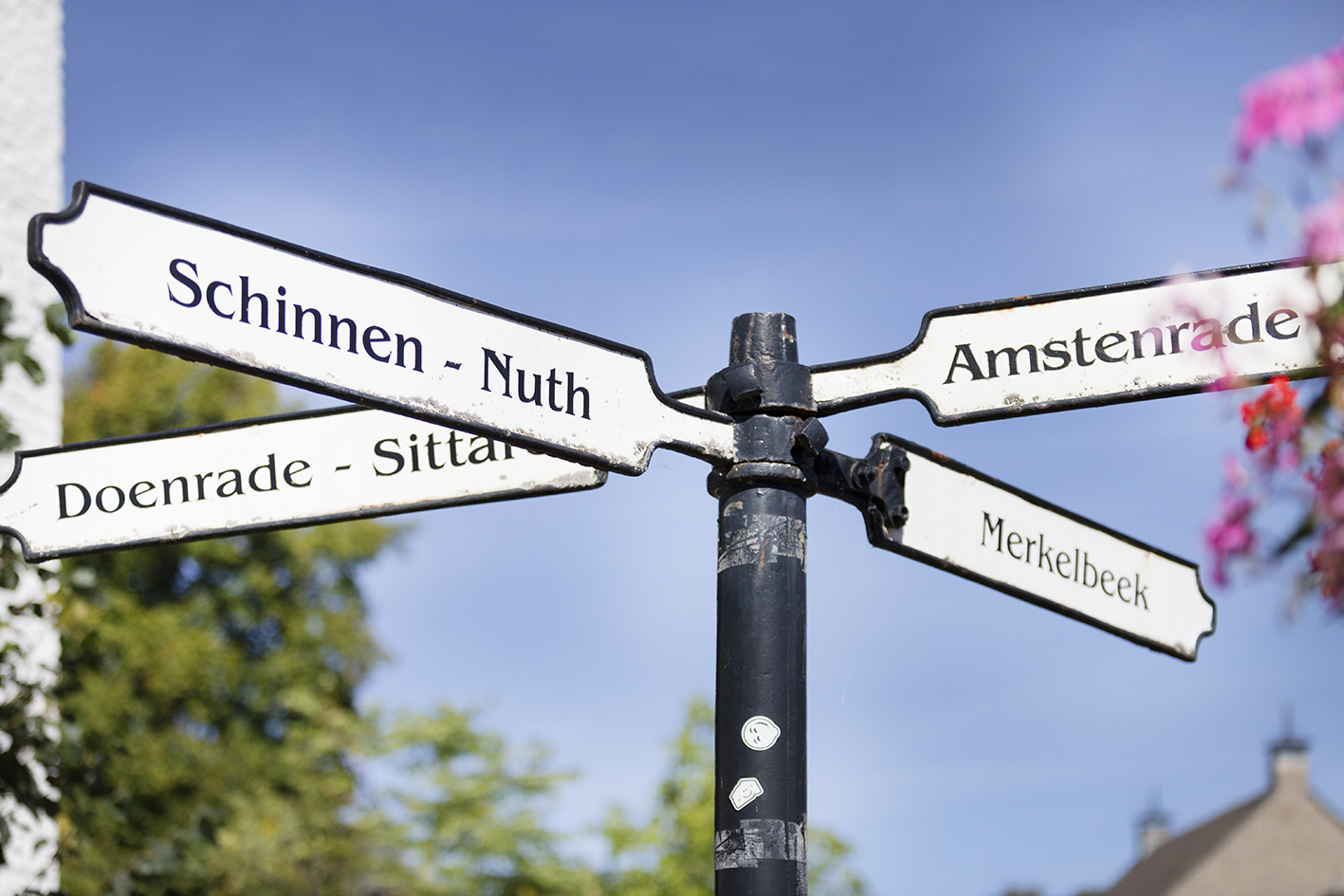 CreativeWanders©2025-5919