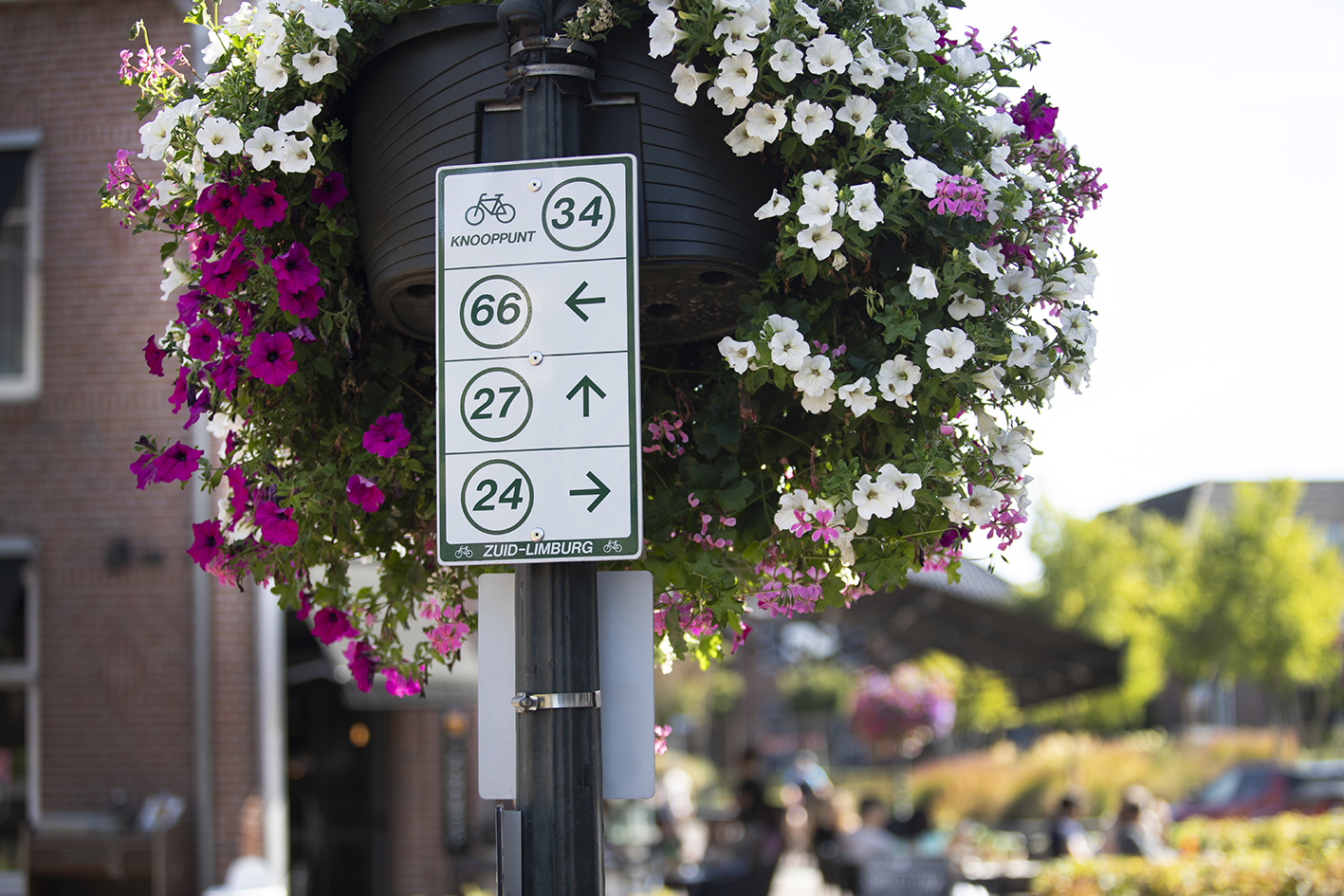 CreativeWanders©2025-5925