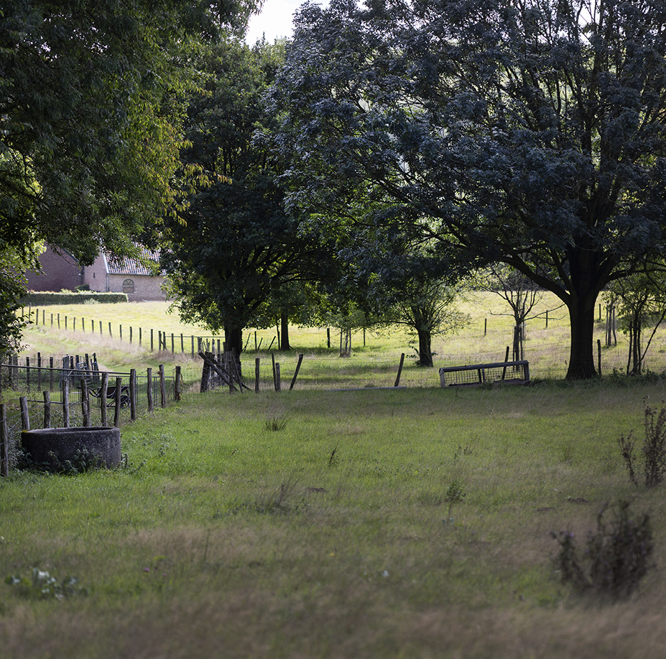 CreativeWanders©2025-5987