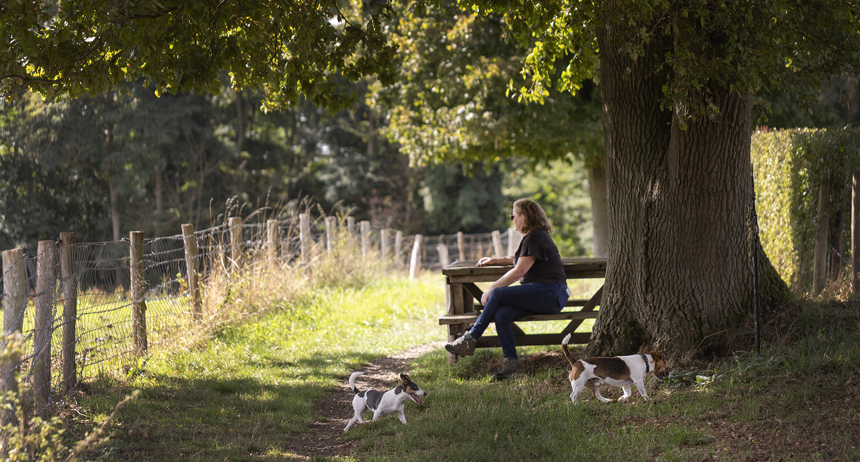 CreativeWanders©2025-6009