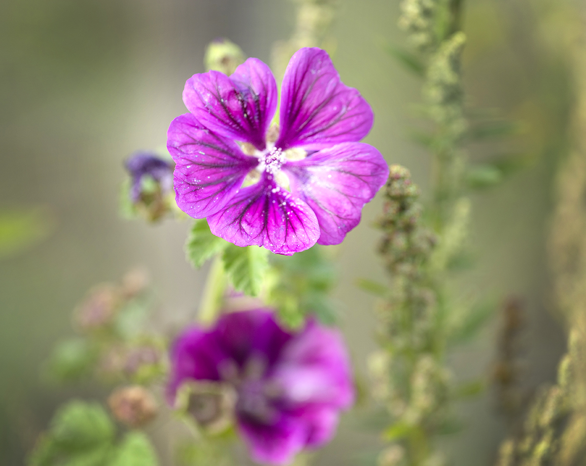 CreativeWanders©2025-6064