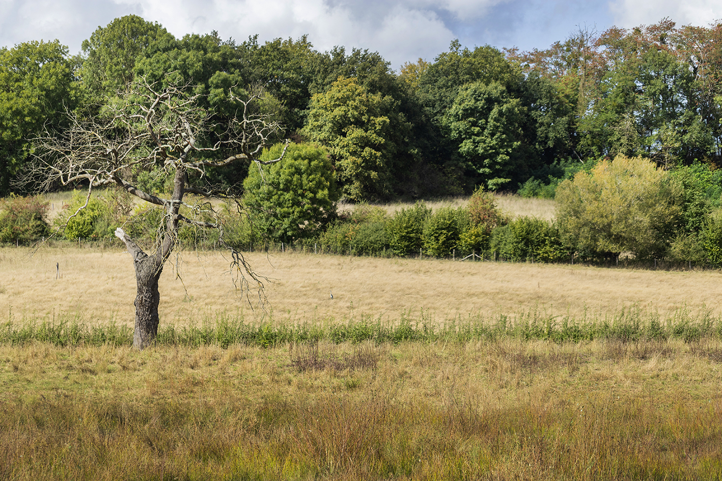 CreativeWanders©2025-6100