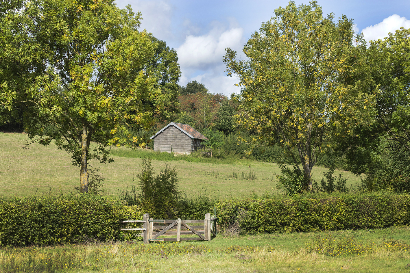 CreativeWanders©2025-6105